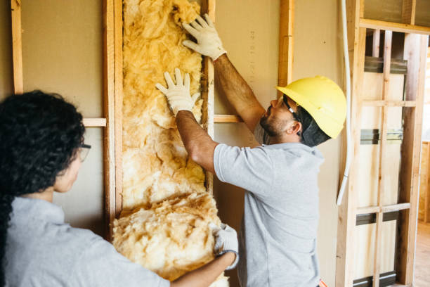 Reliable Dripping Springs, TX Insulation Contractor Solutions