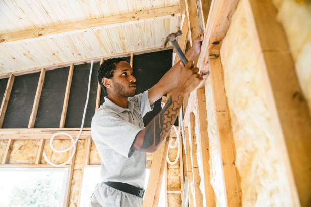 Best Insulation Inspection Services  in Dripping Springs, TX