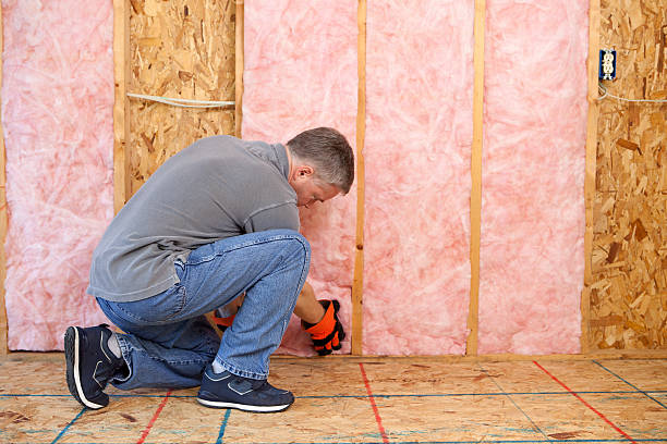 Best Insulation for New Construction  in Dripping Springs, TX