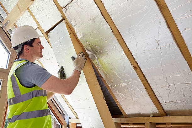 Best Insulation Contractor Near Me  in Dripping Springs, TX
