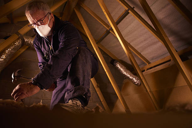 Best Insulation Repair Services  in Dripping Springs, TX